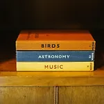 Doodle, 4* Windermere