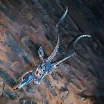 Doodle, Pensjonat Windermere