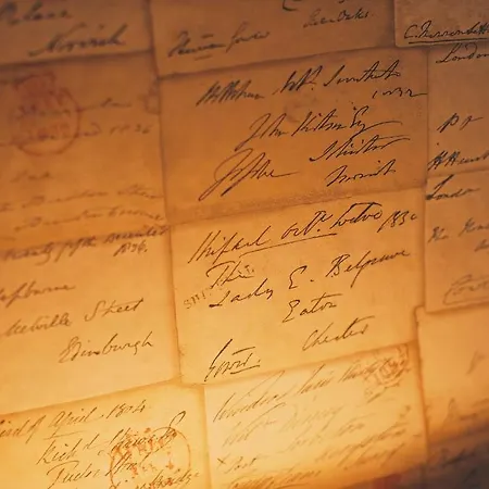 بيت ضيافة Doodle,