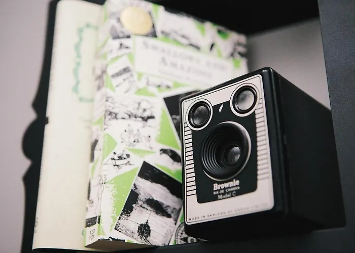 Doodle, 4* Windermere